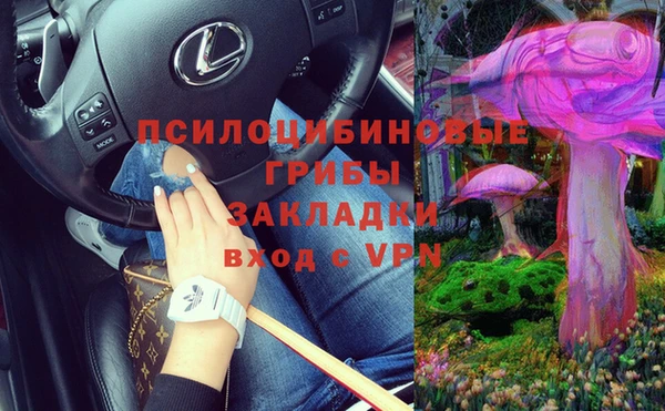 амф Остров