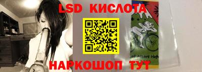 прущие грибы Гагарин