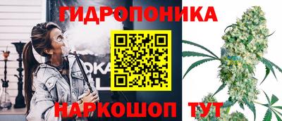 гидропоника Гатчина