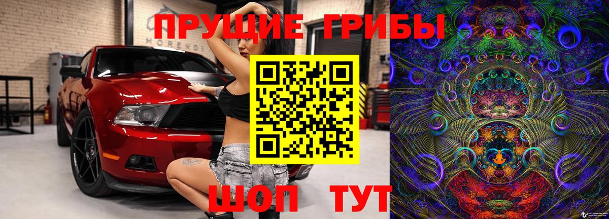 купить   Анапа  Псилоцибиновые грибы Magic Shrooms 