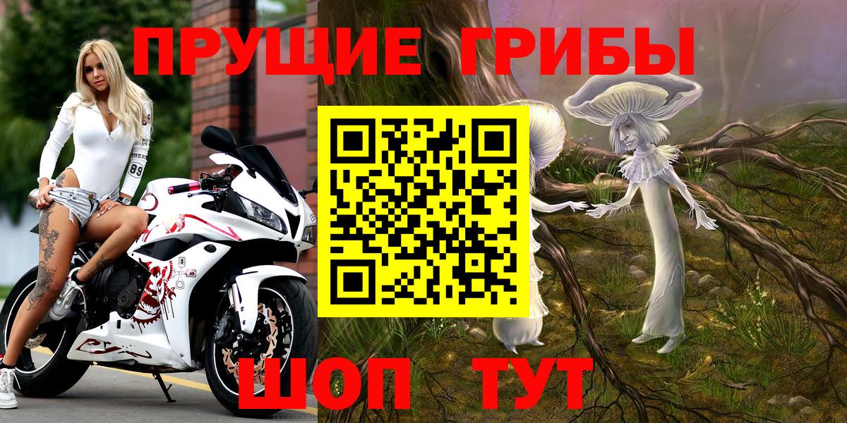 Галлюциногенные грибы Psilocybe Анапа