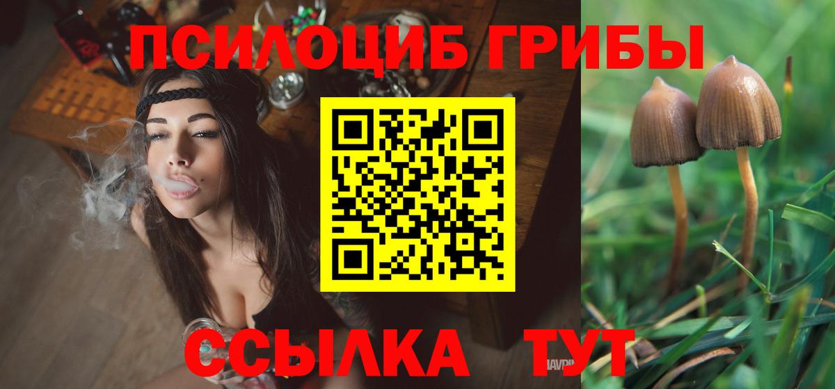 Галлюциногенные грибы GOLDEN TEACHER Анапа